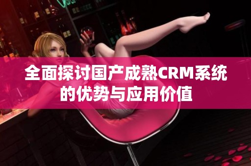 全面探讨国产成熟CRM系统的优势与应用价值