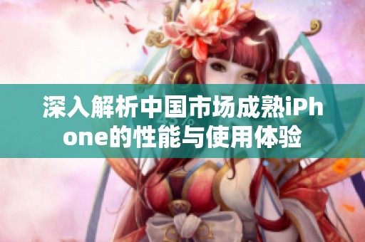 深入解析中国市场成熟iPhone的性能与使用体验