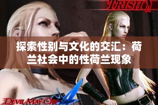 探索性别与文化的交汇：荷兰社会中的性荷兰现象