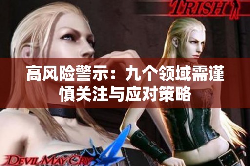 高风险警示：九个领域需谨慎关注与应对策略