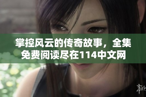 掌控风云的传奇故事，全集免费阅读尽在114中文网