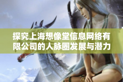 探究上海想像堂信息网络有限公司的人脉圈发展与潜力分析