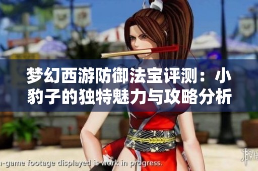 梦幻西游防御法宝评测：小豹子的独特魅力与攻略分析