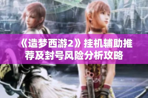 《造梦西游2》挂机辅助推荐及封号风险分析攻略