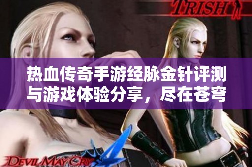 热血传奇手游经脉金针评测与游戏体验分享，尽在苍穹手游网