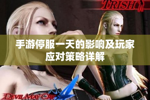 手游停服一天的影响及玩家应对策略详解
