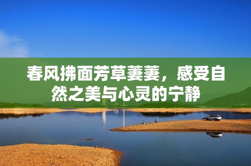 春风拂面芳草萋萋，感受自然之美与心灵的宁静