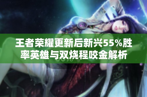 王者荣耀更新后新兴55%胜率英雄与双烧程咬金解析