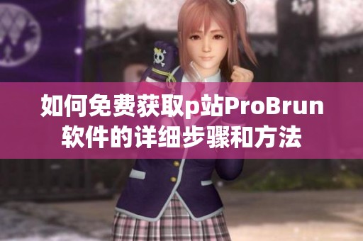 如何免费获取p站ProBrun软件的详细步骤和方法