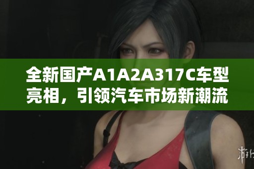 全新国产A1A2A317C车型亮相，引领汽车市场新潮流