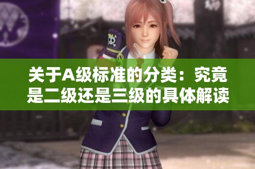 关于A级标准的分类：究竟是二级还是三级的具体解读