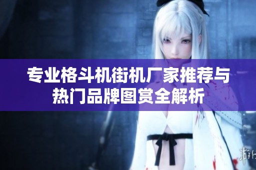 专业格斗机街机厂家推荐与热门品牌图赏全解析