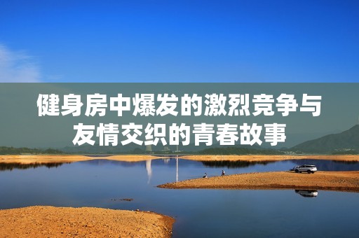 健身房中爆发的激烈竞争与友情交织的青春故事