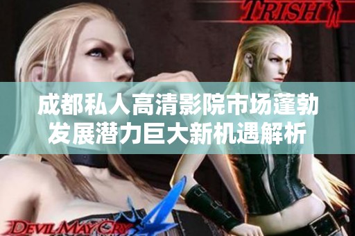 成都私人高清影院市场蓬勃发展潜力巨大新机遇解析