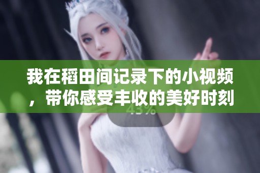 我在稻田间记录下的小视频，带你感受丰收的美好时刻