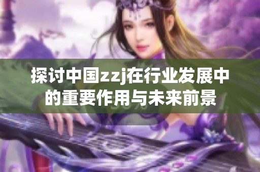 探讨中国zzj在行业发展中的重要作用与未来前景
