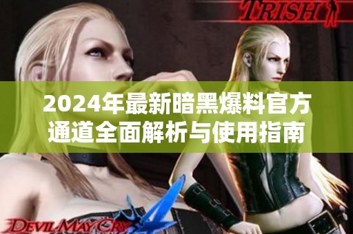 2024年最新暗黑爆料官方通道全面解析与使用指南