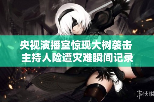 央视演播室惊现大树袭击 主持人险遭灾难瞬间记录