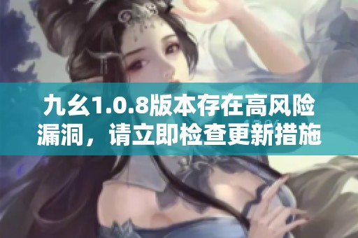 九幺1.0.8版本存在高风险漏洞，请立即检查更新措施