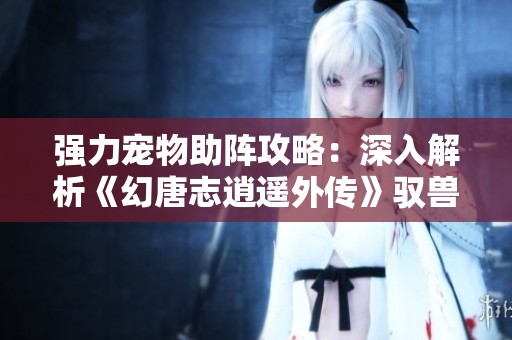 强力宠物助阵攻略：深入解析《幻唐志逍遥外传》驭兽技能