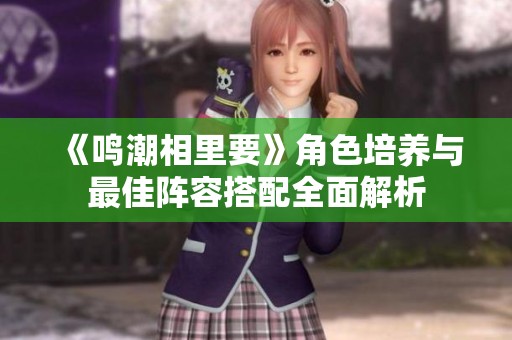 《鸣潮相里要》角色培养与最佳阵容搭配全面解析