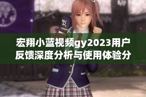 宏翔小蓝视频gy2023用户反馈深度分析与使用体验分享