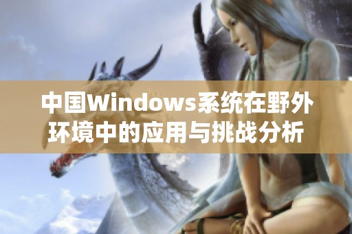 中国Windows系统在野外环境中的应用与挑战分析