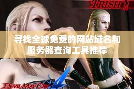寻找全球免费的网站域名和服务器查询工具推荐