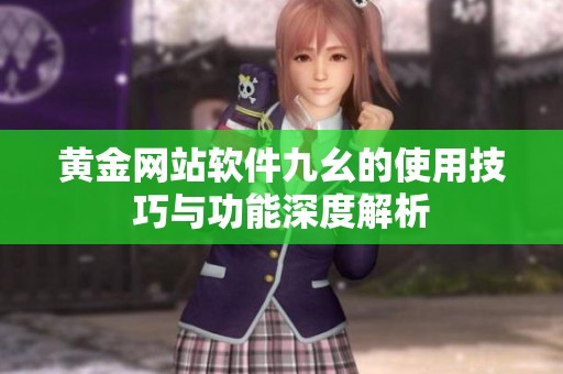 黄金网站软件九幺的使用技巧与功能深度解析