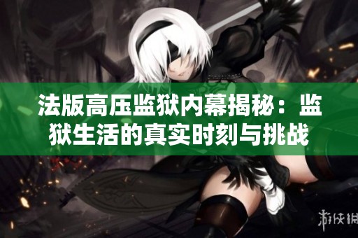 法版高压监狱内幕揭秘：监狱生活的真实时刻与挑战