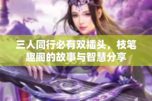 三人同行必有双插头，枝笔趣阁的故事与智慧分享