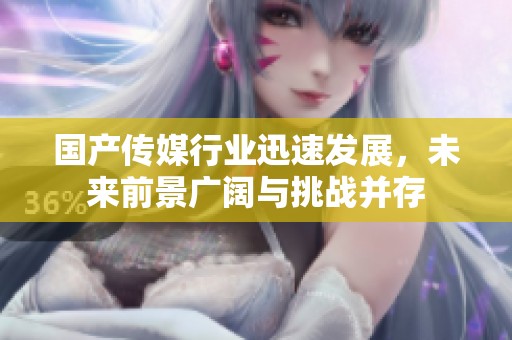 国产传媒行业迅速发展，未来前景广阔与挑战并存