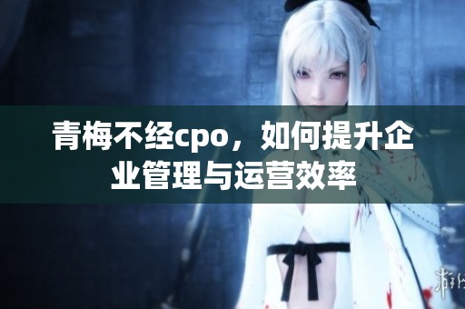 青梅不经cpo，如何提升企业管理与运营效率