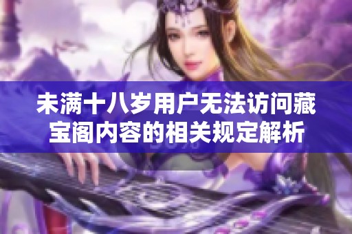 未满十八岁用户无法访问藏宝阁内容的相关规定解析