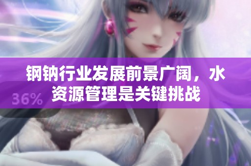 钢钠行业发展前景广阔，水资源管理是关键挑战