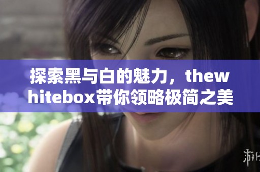 探索黑与白的魅力，thewhitebox带你领略极简之美
