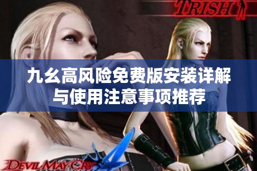 九幺高风险免费版安装详解与使用注意事项推荐
