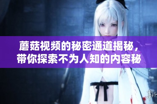 蘑菇视频的秘密通道揭秘，带你探索不为人知的内容秘密