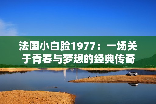法国小白脸1977：一场关于青春与梦想的经典传奇
