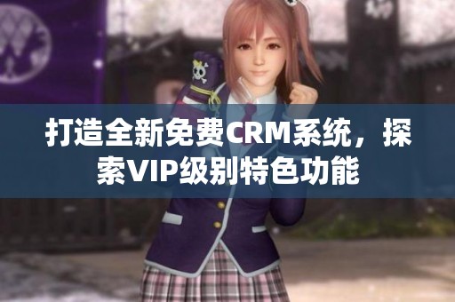 打造全新免费CRM系统，探索VIP级别特色功能
