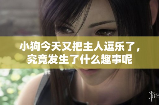 小狗今天又把主人逗乐了，究竟发生了什么趣事呢