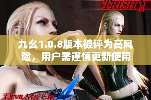 九幺1.0.8版本被评为高风险，用户需谨慎更新使用
