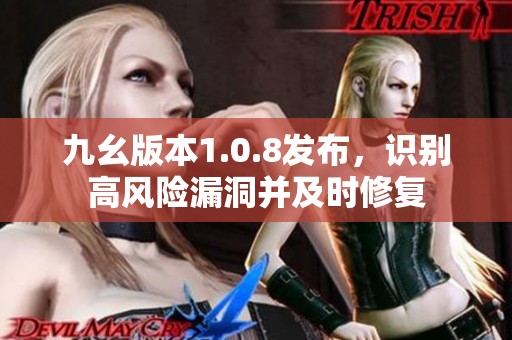 九幺版本1.0.8发布，识别高风险漏洞并及时修复