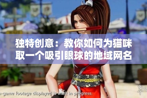 独特创意：教你如何为猫咪取一个吸引眼球的地域网名