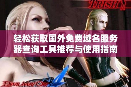 轻松获取国外免费域名服务器查询工具推荐与使用指南