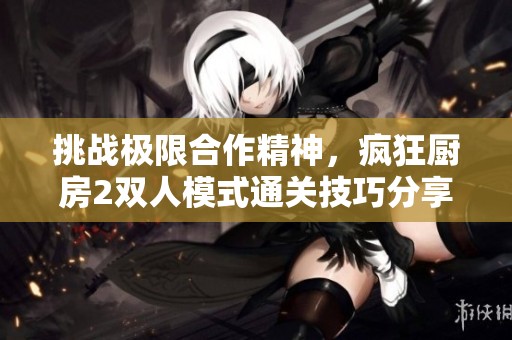 挑战极限合作精神，疯狂厨房2双人模式通关技巧分享