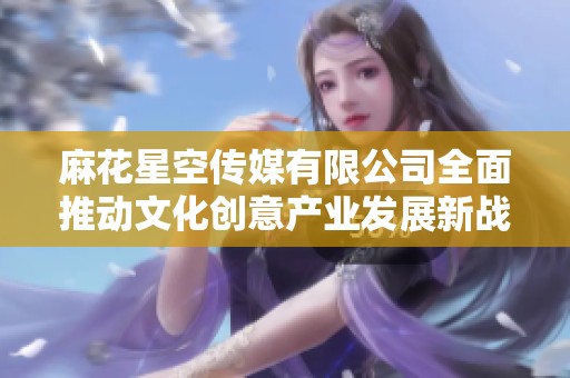麻花星空传媒有限公司全面推动文化创意产业发展新战略