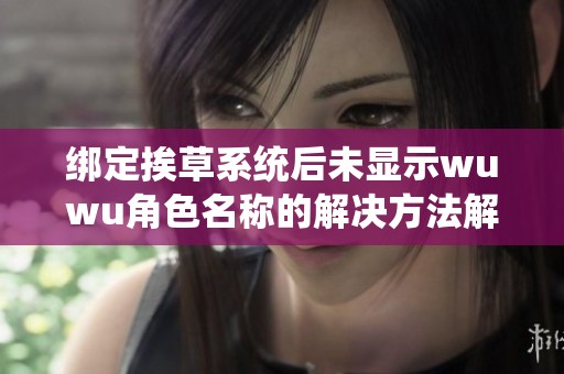 绑定挨草系统后未显示wuwu角色名称的解决方法解析