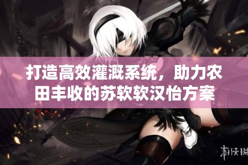 打造高效灌溉系统，助力农田丰收的苏软软汉怡方案
