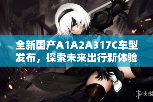 全新国产A1A2A317C车型发布，探索未来出行新体验